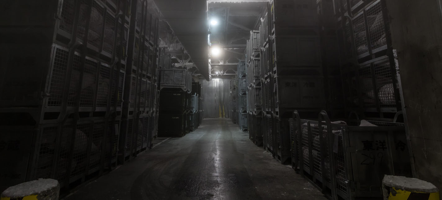日本各地の超低温倉庫に保存
